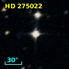 HD 275022