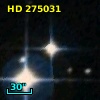 HD 275031