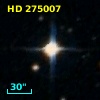 HD 275007
