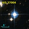 HD  37004