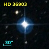HD  36903