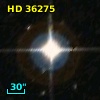 HD  36275