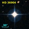 HD  36904