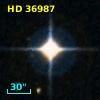 HD  36987