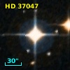 HD  37047