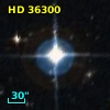 HD  36300