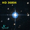 HD  36804