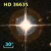 HD  36635