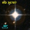 HD  36787