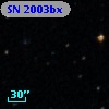 SN 2003bx
