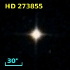 HD 273855