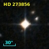 HD 273856