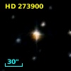 HD 273900