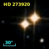 HD 273920