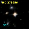 HD 273956