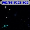 [MDS99] F203-020