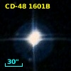 CCDM J05010-4813B