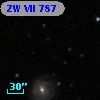 ZW  VII 787
