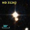 HD  31242