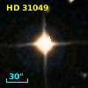 HD  31049