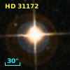 HD  31172
