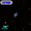 APMBGC 202-083-071