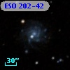 ESO 202-42