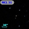 MCL 31