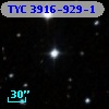 TYC 3916-929-1
