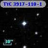 TYC 3917-110-1