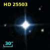 HD  25503