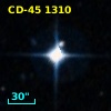 CD-45  1310