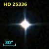 HD  25336