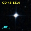 CD-45  1314