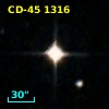 CD-45  1316