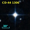 CD-44  1306