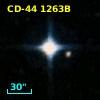 CD-44  1263B