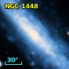 NGC  1448