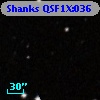 Shanks QSF1X:036