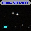 Shanks QSF1X:037