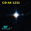 CD-44  1231