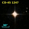 CD-45  1247
