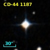 CD-44  1187