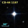 CD-44  1197