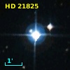 HD  21825