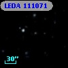 LEDA  111071