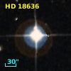 HD  18636