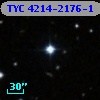 TYC 4214-2176-1