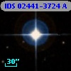 IDS 02441-3724 A