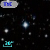 TYC 7691-775-1